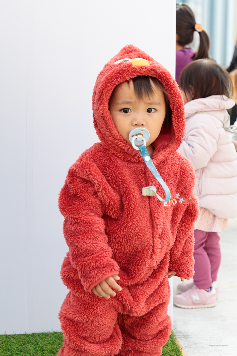 Sesame Street Market Fes｜セサミストリートマーケットフェス